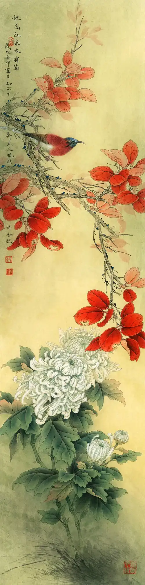 Bạch Cúc Hồng Diệp
