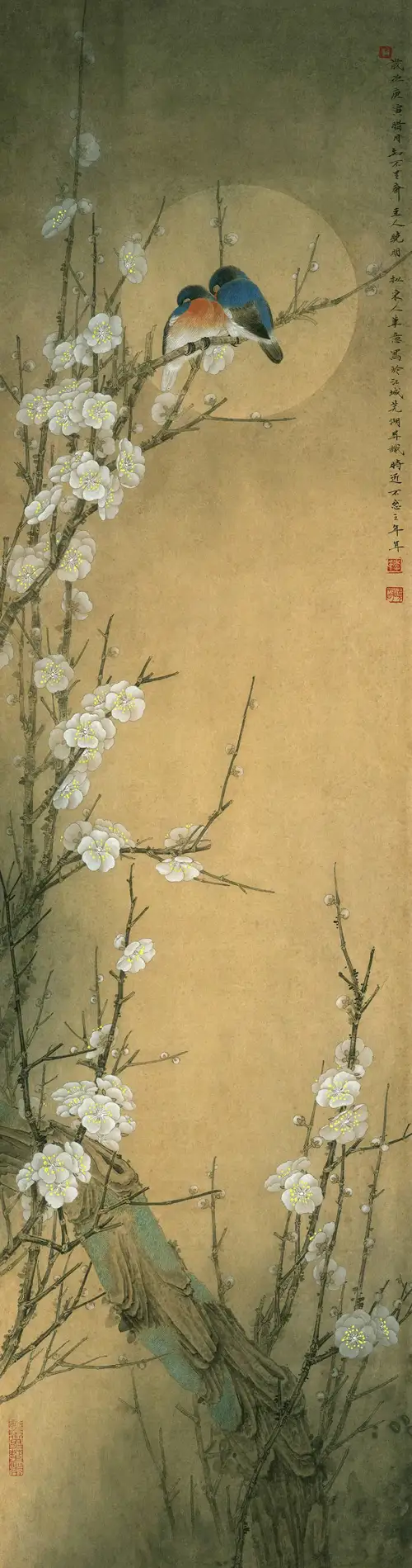 Song Điểu Tương Y
